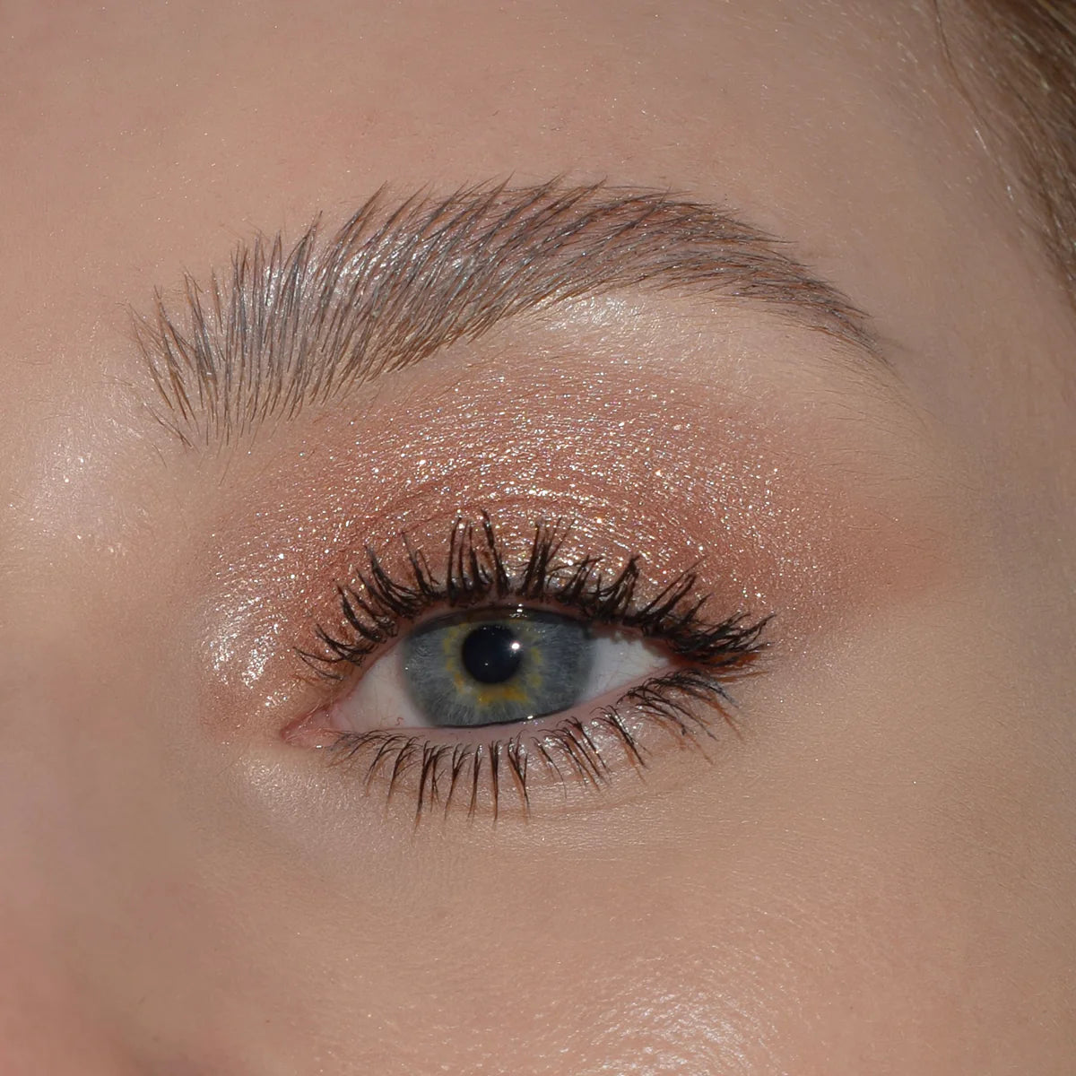Glitter Pigments | Pigmentos con Glitter