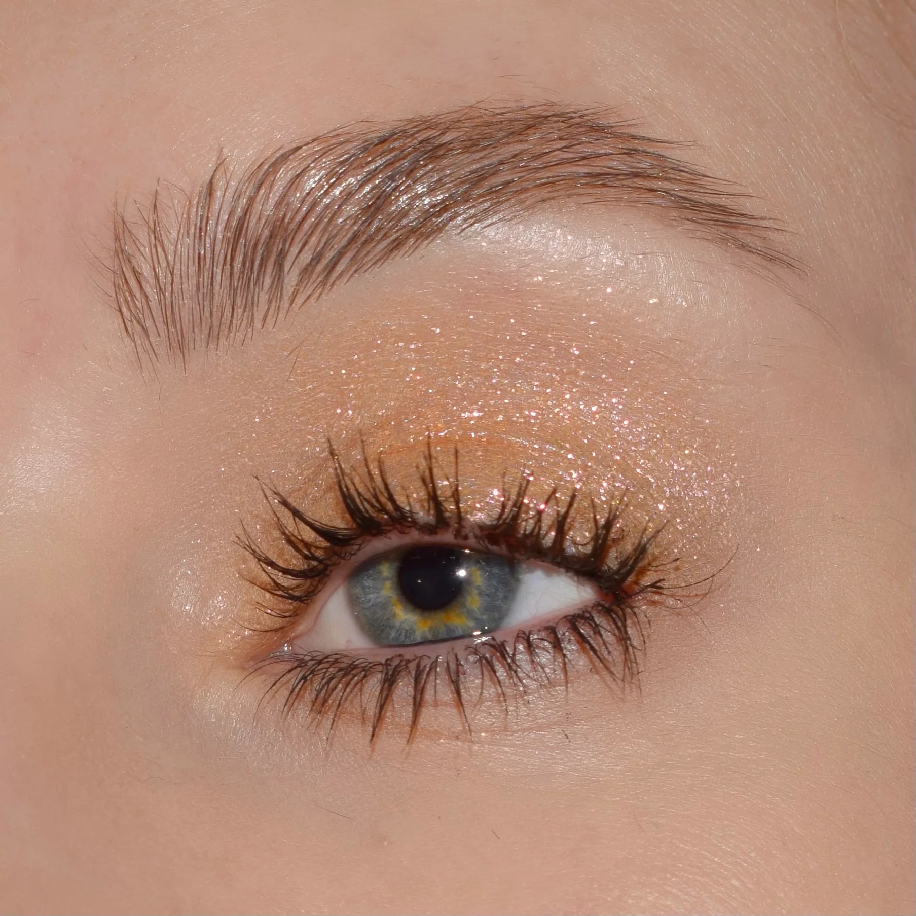 Glitter Pigments | Pigmentos con Glitter